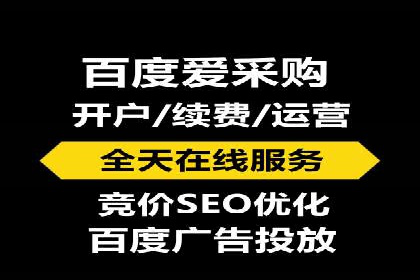 SEM代理案例：揭秘成功背后的秘密